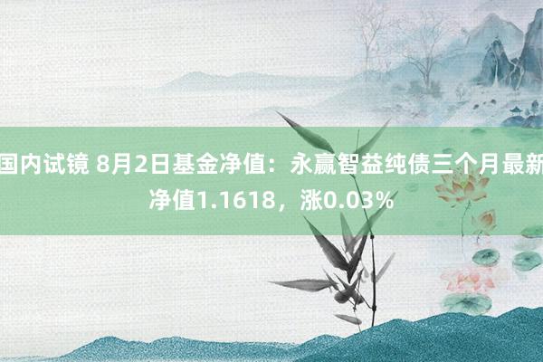国内试镜 8月2日基金净值：永赢智益纯债三个月最新净值1.1618，涨0.03%