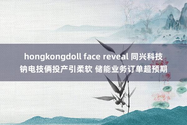 hongkongdoll face reveal 同兴科技钠电技俩投产引柔软 储能业务订单超预期