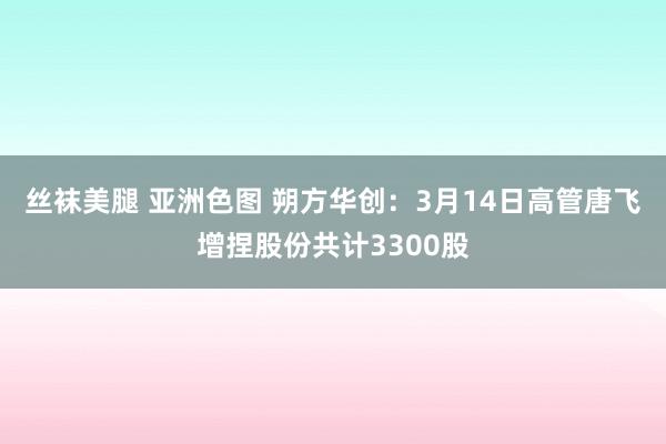 丝袜美腿 亚洲色图 朔方华创：3月14日高管唐飞增捏股份共计3300股