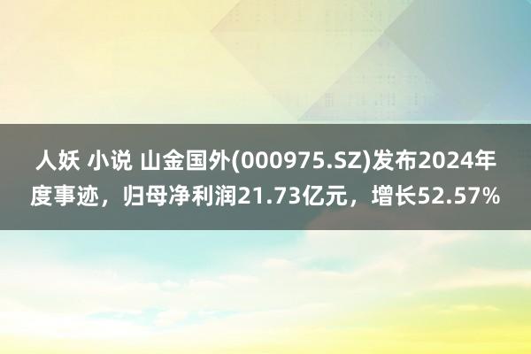 人妖 小说 山金国外(000975.SZ)发布2024年度事迹，归母净利润21.73亿元，增长52.57%