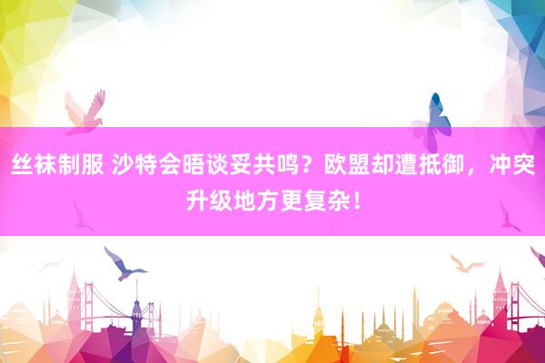 丝袜制服 沙特会晤谈妥共鸣？欧盟却遭抵御，冲突升级地方更复杂！