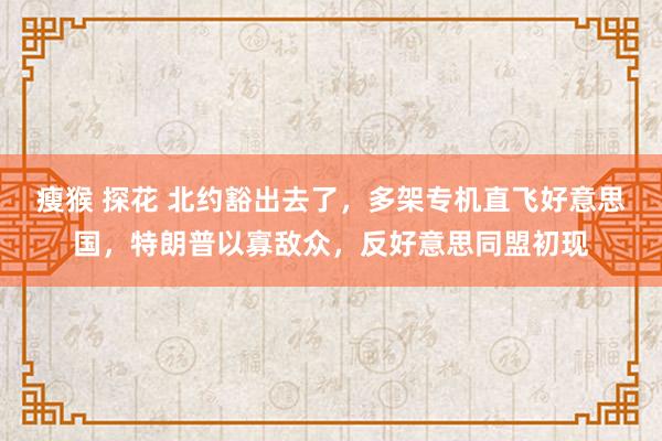 瘦猴 探花 北约豁出去了，多架专机直飞好意思国，特朗普以寡敌众，反好意思同盟初现