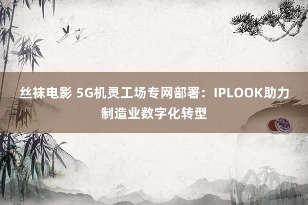 丝袜电影 5G机灵工场专网部署：IPLOOK助力制造业数字化转型