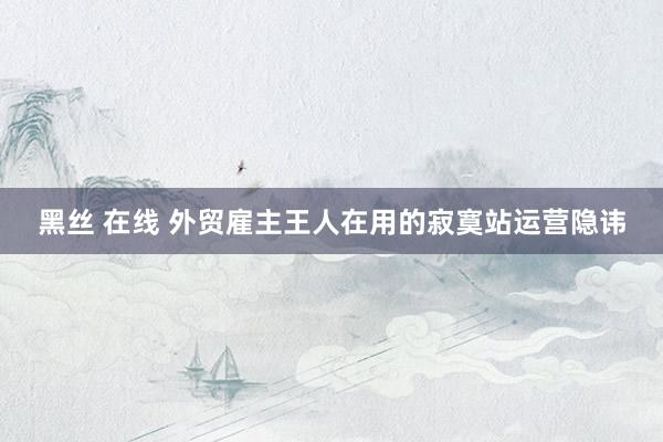 黑丝 在线 外贸雇主王人在用的寂寞站运营隐讳