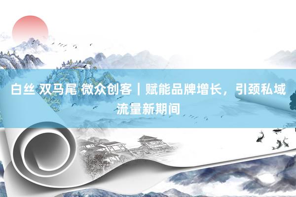 白丝 双马尾 微众创客｜赋能品牌增长，引颈私域流量新期间