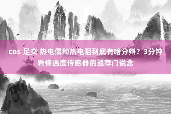 cos 足交 热电偶和热电阻到底有啥分辩？3分钟看懂温度传感器的遴荐门说念