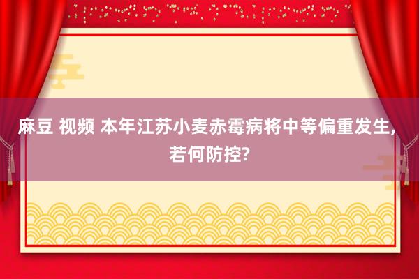 麻豆 视频 本年江苏小麦赤霉病将中等偏重发生, 若何防控?