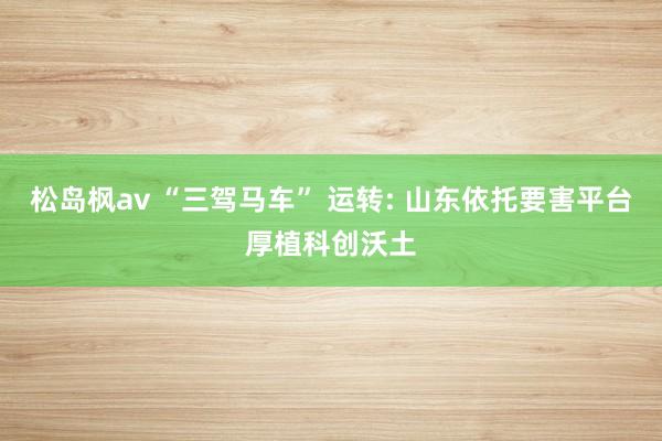 松岛枫av “三驾马车” 运转: 山东依托要害平台厚植科创沃土
