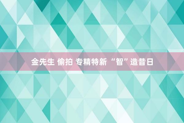 金先生 偷拍 专精特新 “智”造昔日
