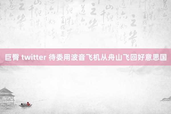 巨臀 twitter 待委用波音飞机从舟山飞回好意思国