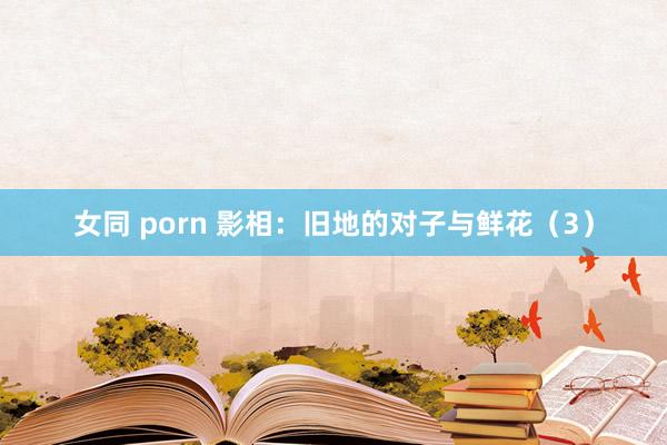 女同 porn 影相：旧地的对子与鲜花（3）