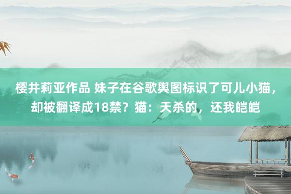 樱井莉亚作品 妹子在谷歌舆图标识了可儿小猫，却被翻译成18禁？猫：天杀的，还我皑皑